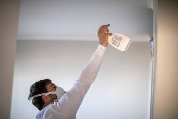 Best Mold Removal Company Near Me  in Calvert City, KY